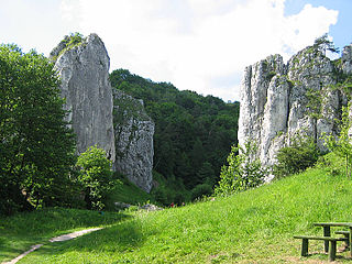 เขตอนุรักษ์ธรรมชาติ Wąwóz Bolechowicki