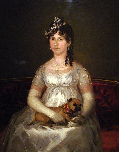 File:Dona Francisca Vicenta Chollet y Caballero by Francisco de Goya y Lucientes.jpg