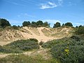 Koksijde: Nature reserve of the Doornpanne