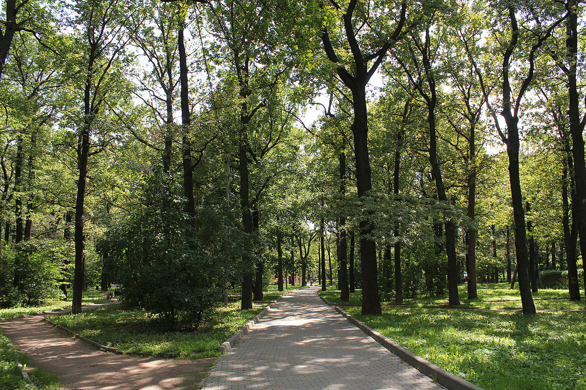 Файл:Dubki park 06.jpg — Википедия