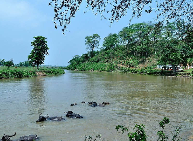 File:Dudhnoi River in Goalpara district.jpg