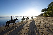Sunset horse-riding on the beach