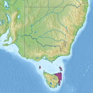 Ekoregion AA0412.png