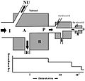 Pisipilt versioonist seisuga 9. november 2012, kell 20:04