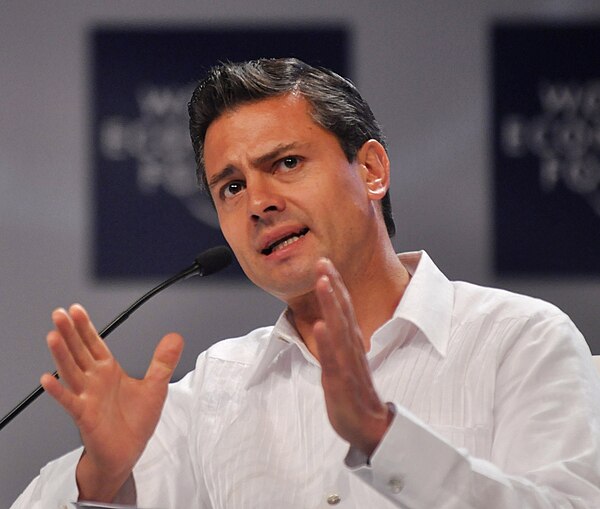 Peña Nieto at the World Economic Forum (2010)