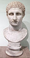 6379 - Farnese - busto di Ercole giovane