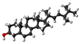 Ball-and-stick model ergosterolu