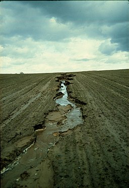 Eroding rill in field in eastern Germany