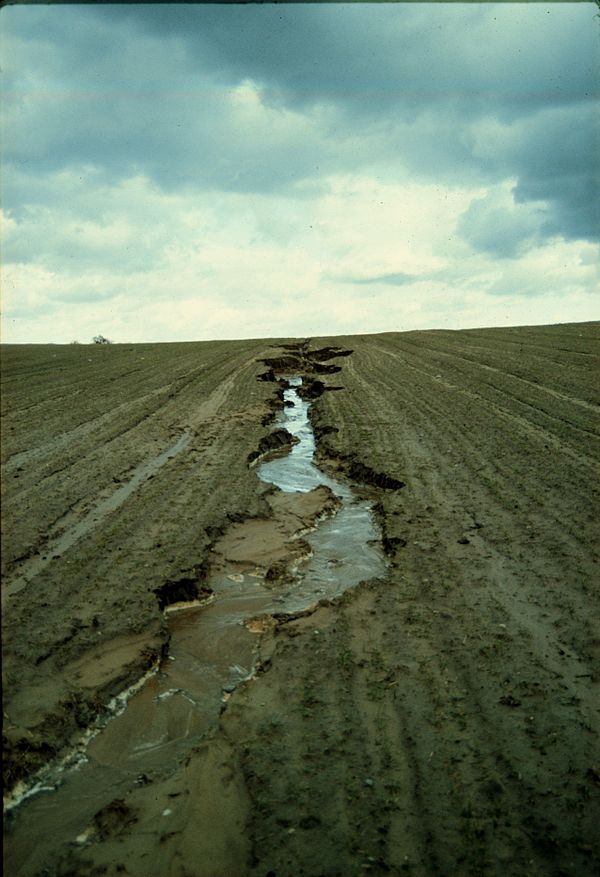 An actively eroding rill on an intensively-farmed field in eastern Germany