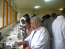 A training seminar for coffee tasters (cuppers) in 2003 Ethiopia coffee tasters (5762556065).jpg