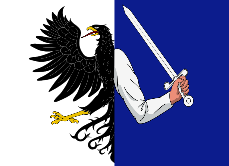 File:Flag of Connacht.svg