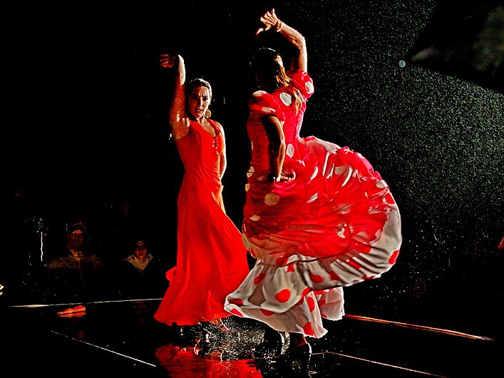 Flamenco im Regen.jpg