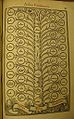 Flickr - Yale Law Library - Arbor feudorum, 1553.jpg