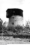 Windmill Nerchau (Turmholländer)