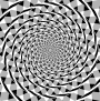 Thumbnail for Fraser spiral illusion