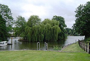 Friday Island from the Old Windsor Lock