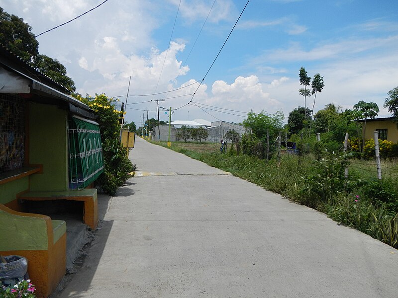 File:FvfBaliuag8056 46.JPG