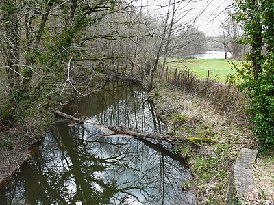 Die Ganne kurz vor der Mündung in den Lac de Rouffiac-en-Périgord