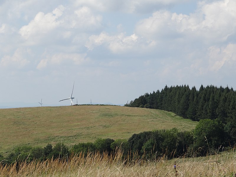 File:Gmina Bukowsko, Poland - panoramio (69).jpg