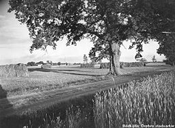 Landskaber i Gräve år 1937.