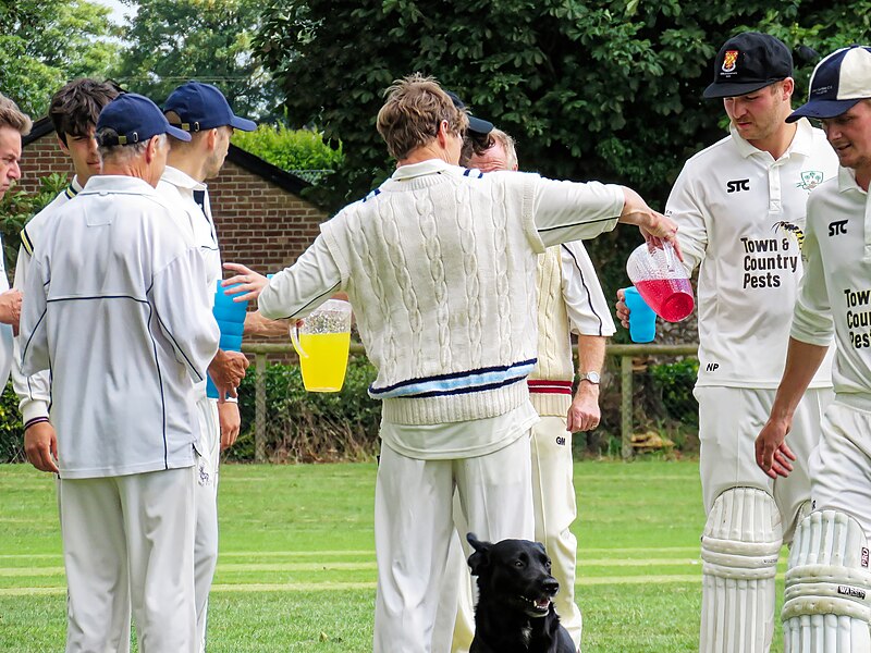 File:Great Canfield CC President's XI v Chairman's XI at Great Canfield, Essex 112.jpg
