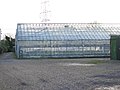 Greenhouses - geograph.org.uk - 77283.jpg