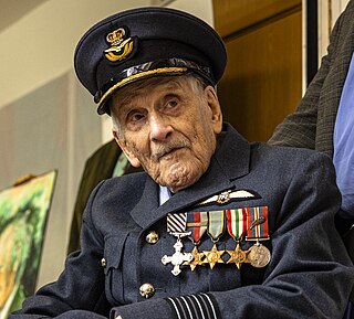 <span class="mw-page-title-main">John Hemingway (RAF officer)</span> Irish former Royal Air Force fighter pilot (born 1919)