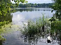 Grunewald - Hundekehlesee (Hundekehle Lake) - geo.hlipp.de - 42182.jpg