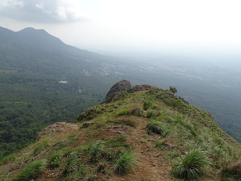 File:Gudalur, Nilgiris, Tamil Nadu DSC00601.JPG