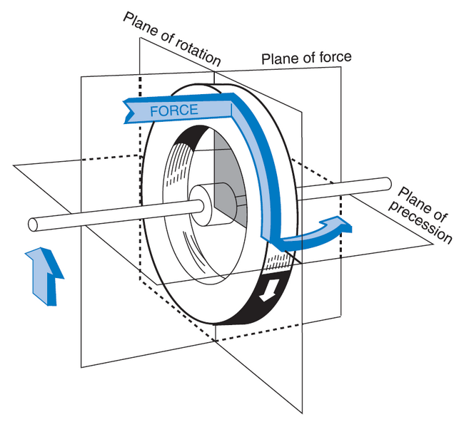 File:Gyro Precession.PNG