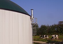 Farm-based maize silage digester located near Neumünster in Germany, 2007. Green inflatable biogas holder is shown on top of the digester.