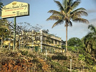 <span class="mw-page-title-main">Caimital Alto, Aguadilla, Puerto Rico</span> Barrio of Puerto Rico