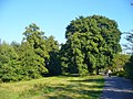 Hakenfelde - Am Haveluferweg (Havel Riverside Path) - geo.hlipp.de - 41687.jpg