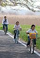 サイクリングと花見