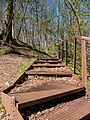 * Nomination Metal stairs in Hedeby Danevirke nature reserve, Busdorf --MB-one 12:55, 1 May 2022 (UTC) * Promotion  Support Good quality. --Tagooty 03:37, 2 May 2022 (UTC)