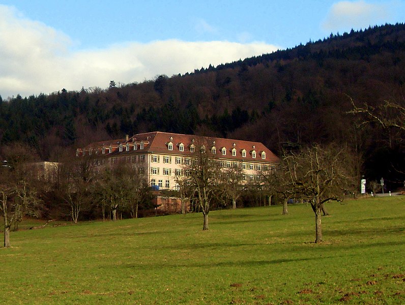 File:Heidelberg - Krankenhaus Speyerer Hof -004.jpg