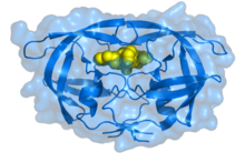 Hiv-1 pdb 1ebz.png