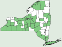 Holcus lanatus NY-dist-map.png