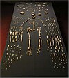 Homo naledi szkieletowe okazy.jpg