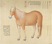 Cavalo Hongyuzuo.jpg