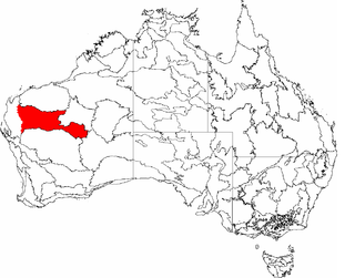 <span class="mw-page-title-main">Gascoyne bioregion</span> Bioregion in Western Australia