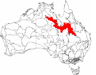 Mitchell Grass Downs Region in Australia