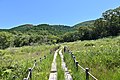 葦毛湿原と弓張山地（豊橋市）