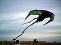 flying at impian kite flying field