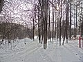 Irkutsk. Akademgorodok. February 2013 - panoramio (52).jpg