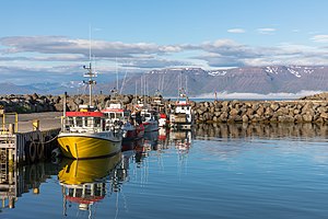 Norðurland Eystra: Regiono en orienta Islando
