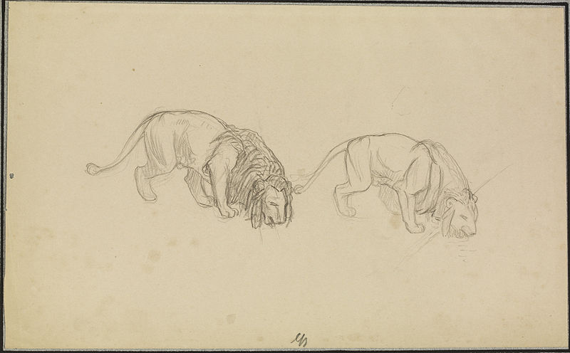File:Jean-Léon Gérôme - Study of Lions - Walters 372789.jpg