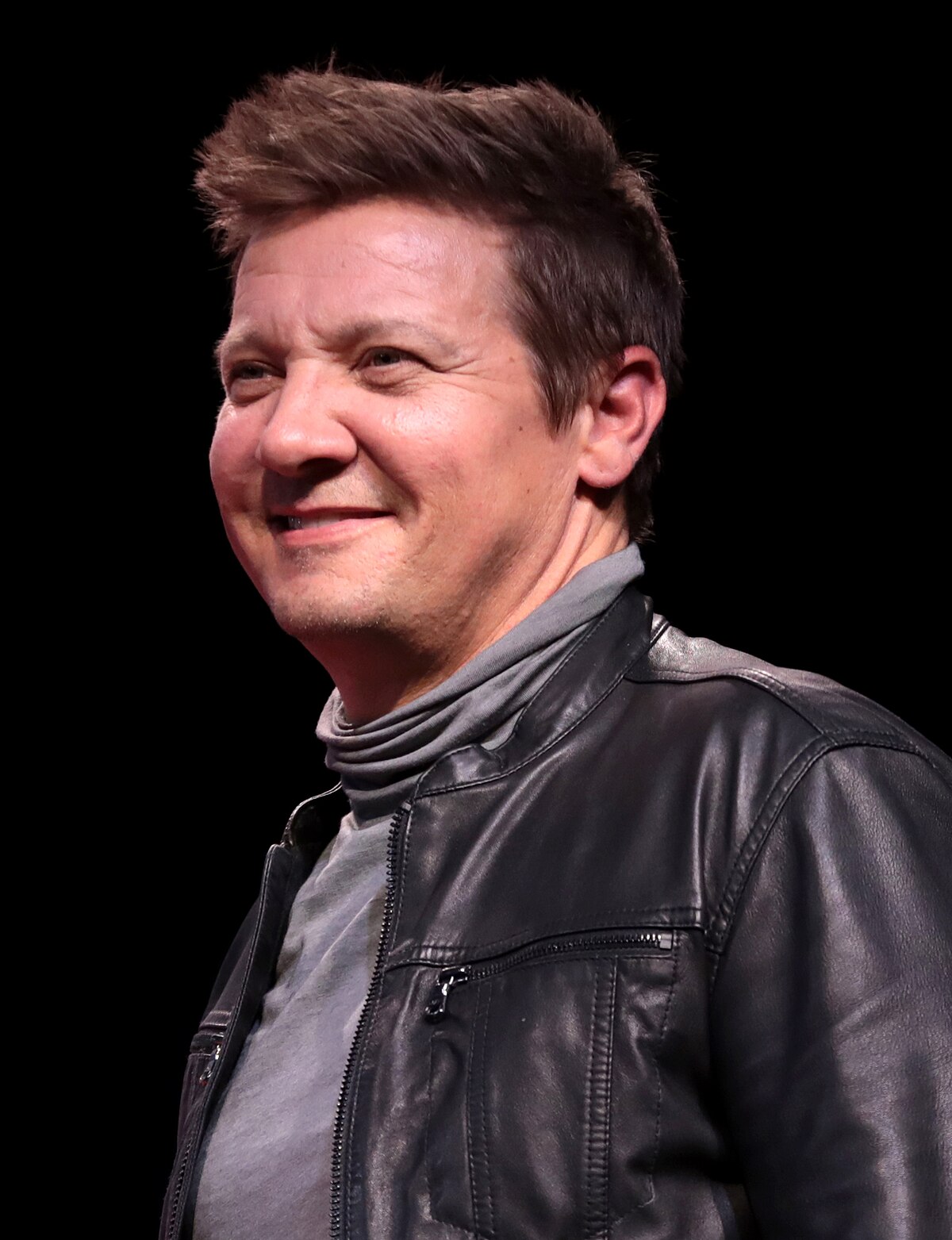 Steve Driver Ator Porno - Jeremy Renner - Wikipedia