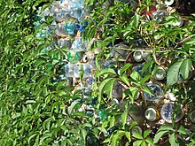 Plastic bottles utilized as building material Kriva Ves, stena z lahvi.jpg