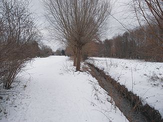 Kaitzbach in Mockritz